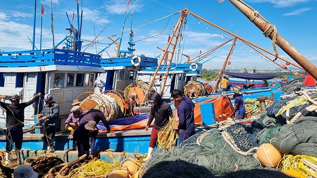 Đến năm 2050, Việt Nam trở thành quốc gia có nghề cá phát triển bền vững, hiện đại